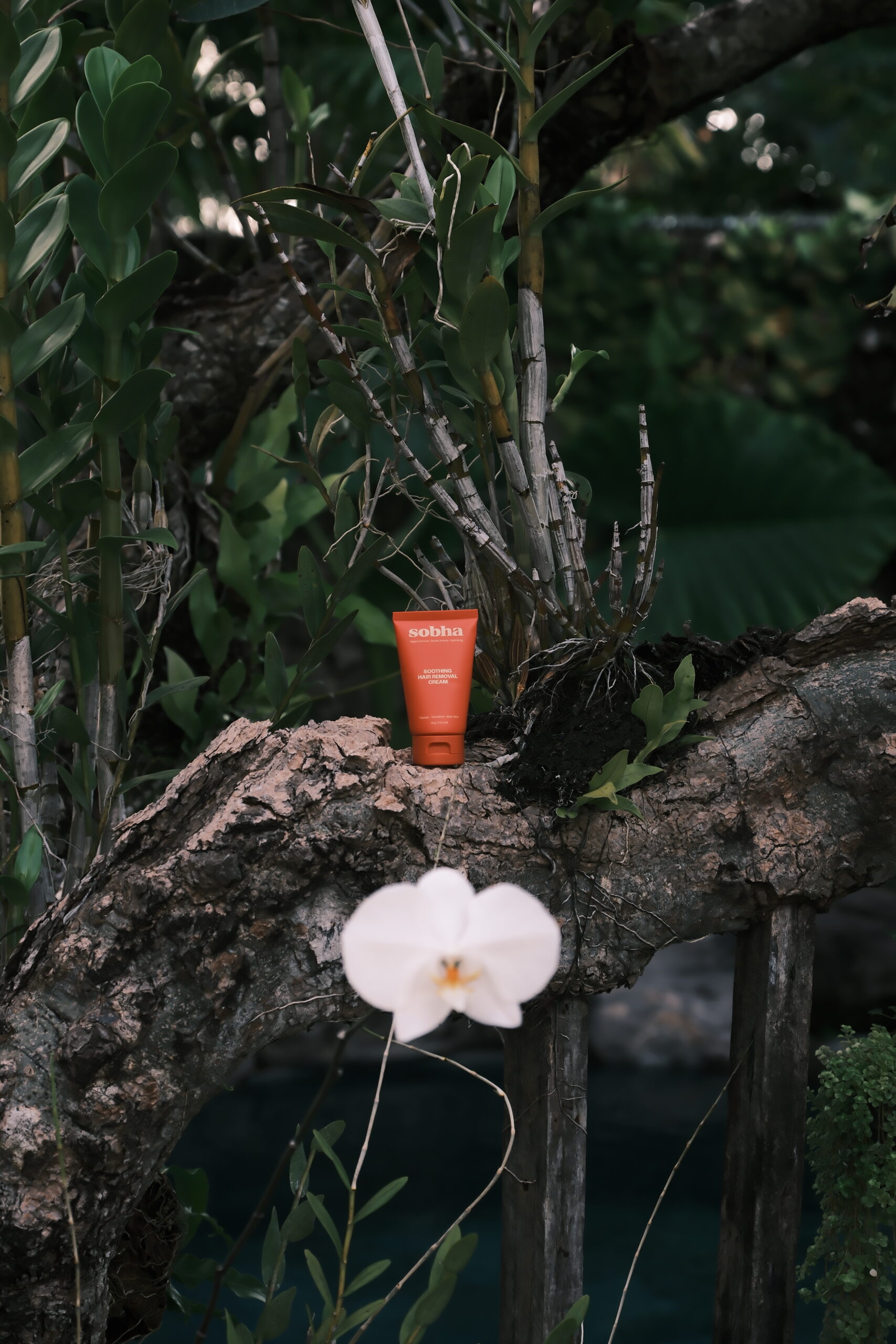 Salinan dari BLUE5404